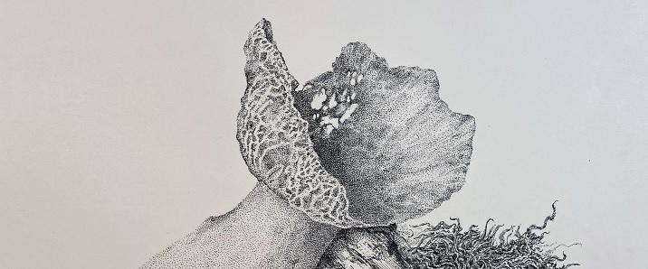 Mushroom in ink