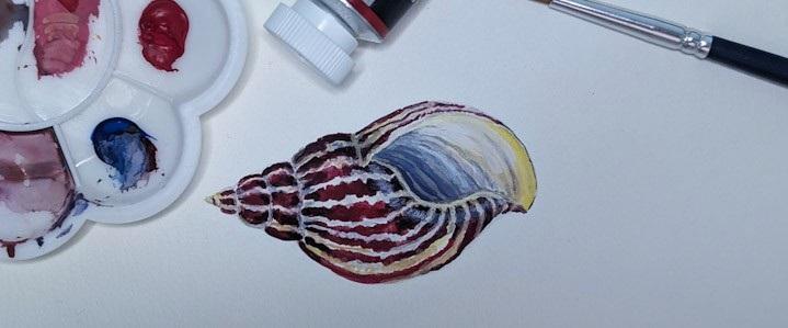 Painted shell