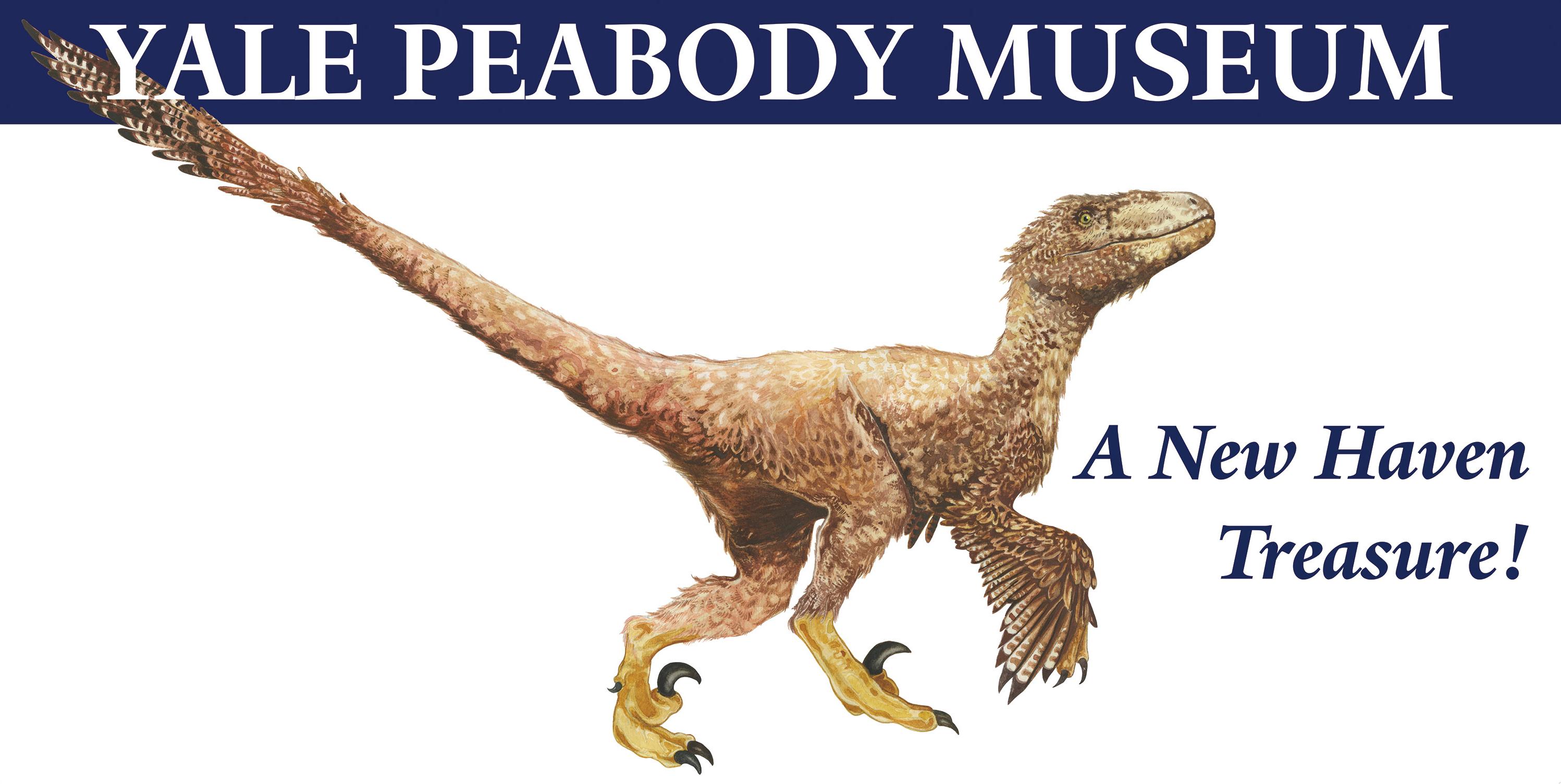 Deinonychus final design