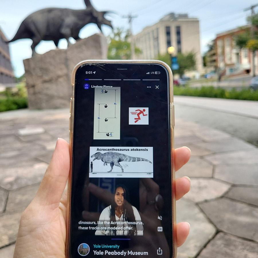 A visitor using the Amuse app in the Yale Peabody Museum